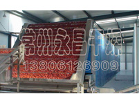 DW3红枣连续烘干机