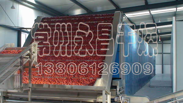 246天天免费资料网