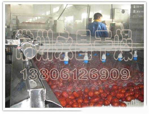 红枣毛刷清洗机