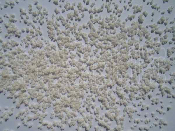 246天天免费资料网