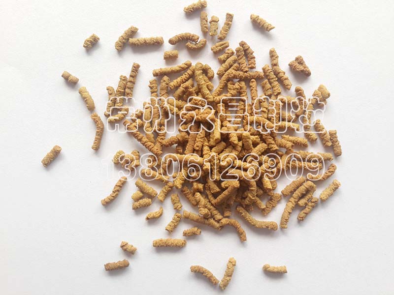 246天天免费资料网