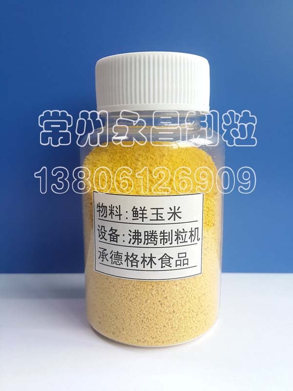 玉米速溶冲剂颗粒专用制粒机