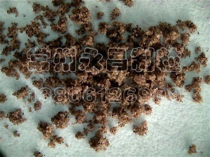 246天天免费资料网