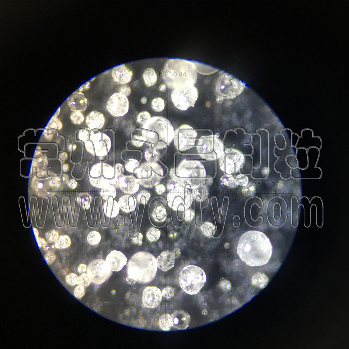 246天天免费资料网