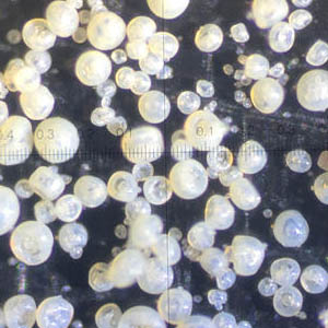 沸石造粒干燥塔