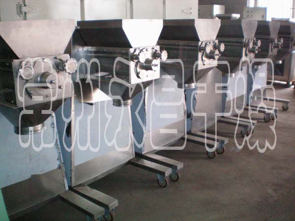 YK系列摇摆式颗粒机