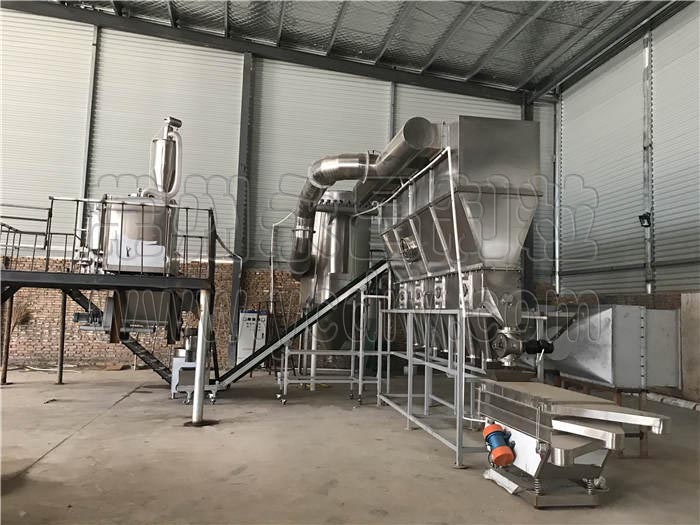 WDG水分散颗粒剂生产线