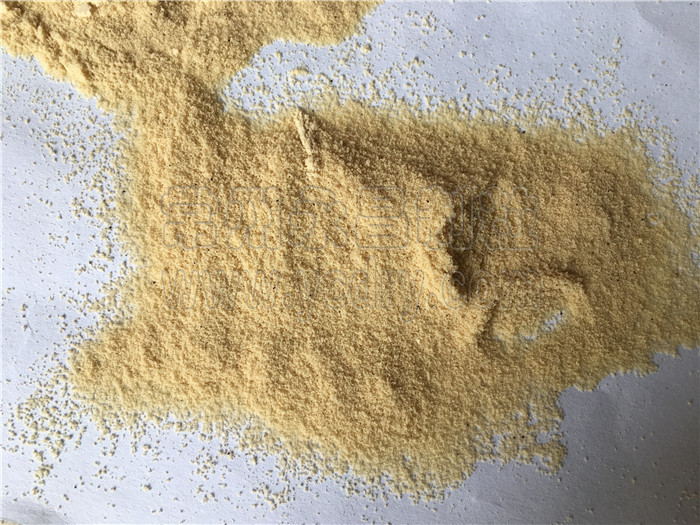 246天天免费资料网