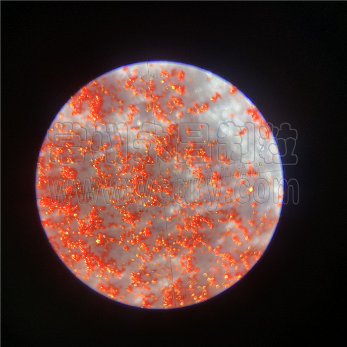 246天天免费资料网