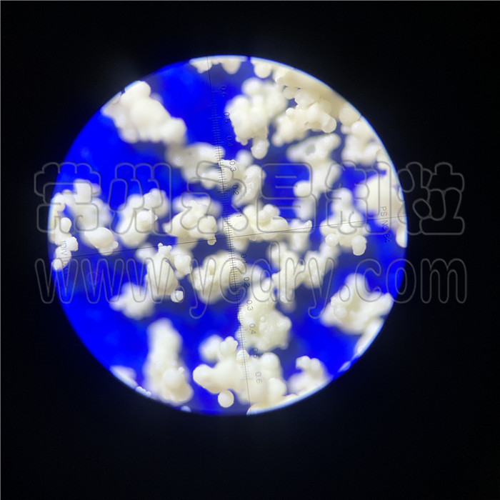 246天天免费资料网