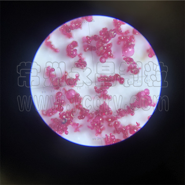 甜菜根颗粒喷雾造粒塔，红甜菜喷雾干燥机-常州永昌制粒