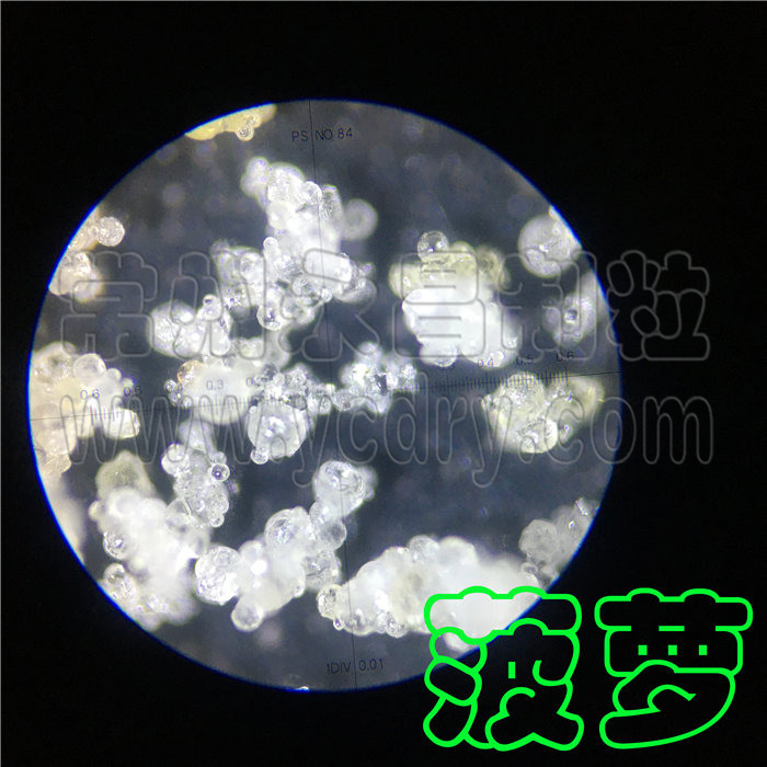 永昌制粒-菠萝汁速溶冲剂颗粒喷雾造粒干燥机