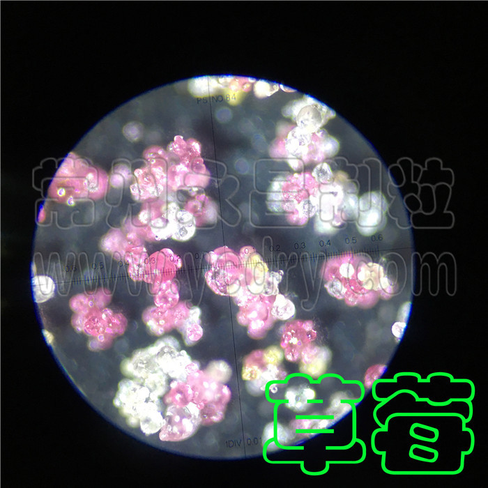 永昌制粒-草莓汁喷雾干燥机，草莓汁速溶颗粒喷雾制粒机