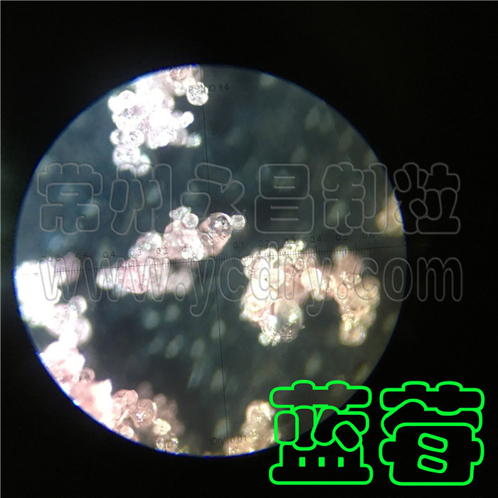 永昌制粒-蓝莓汁提取液+麦芽糊精喷雾干燥机，蓝莓汁喷雾干燥机