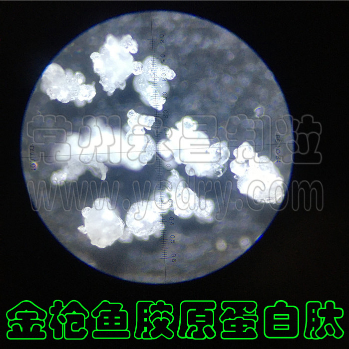 金枪鱼胶原蛋白喷雾干燥机,速溶颗粒