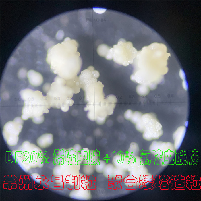 246天天免费资料网