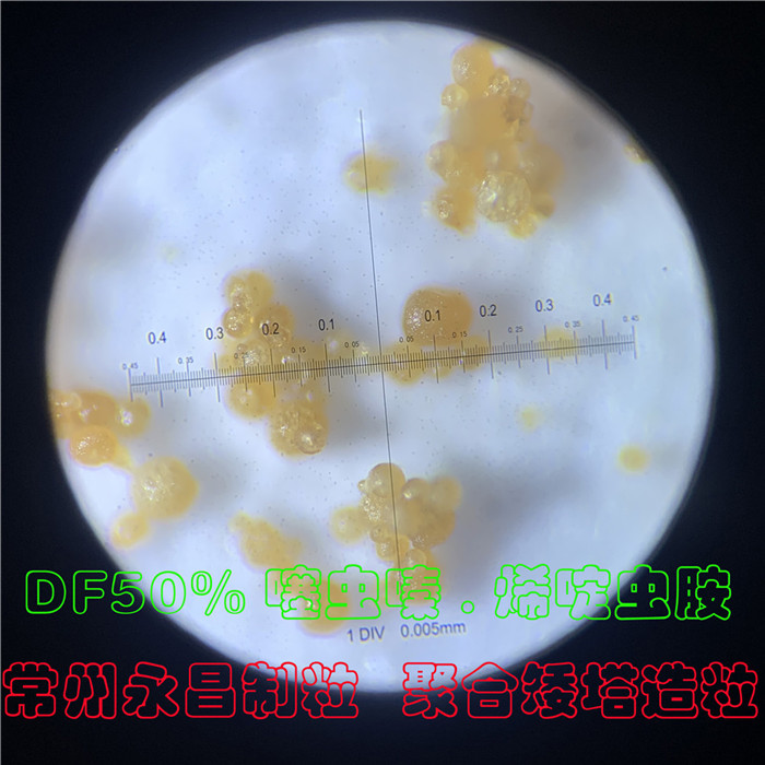 246天天免费资料网