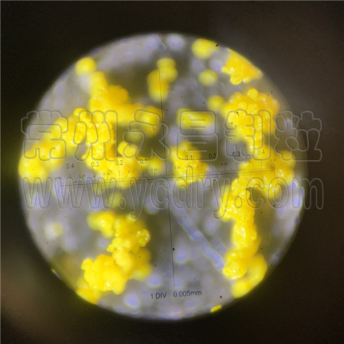 246天天免费资料网