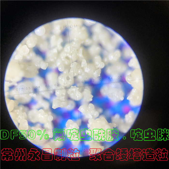 246天天免费资料网