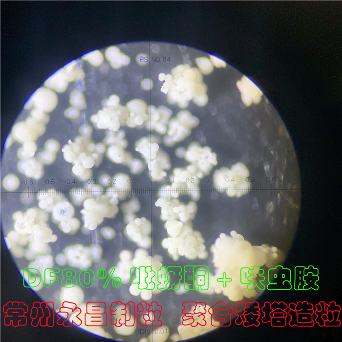 246天天免费资料网