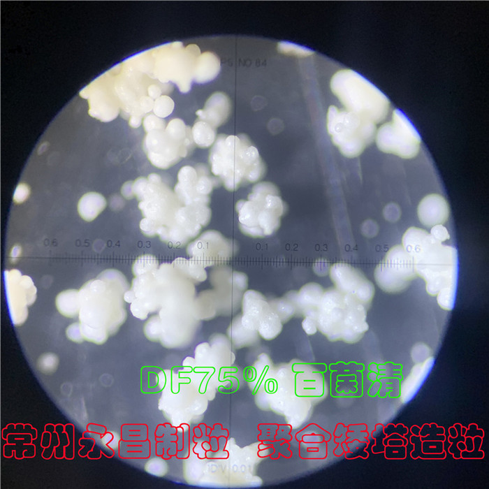 DF矮塔-聚合喷雾流化造粒塔(永昌制粒)