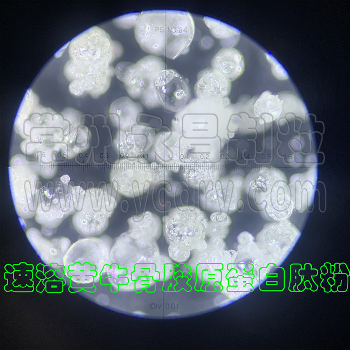 246天天免费资料网