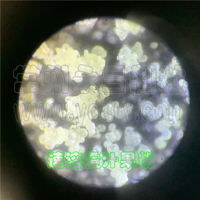 橙汁喷雾干燥机-橙汁速溶粉干燥机