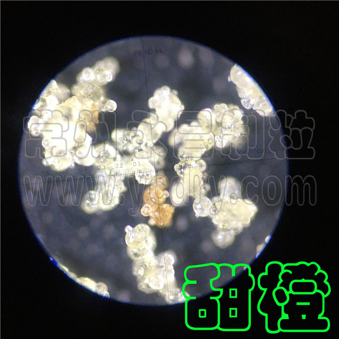 246天天免费资料网