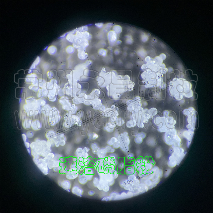 磷脂速溶粉干燥机-磷脂速溶粉造粒机