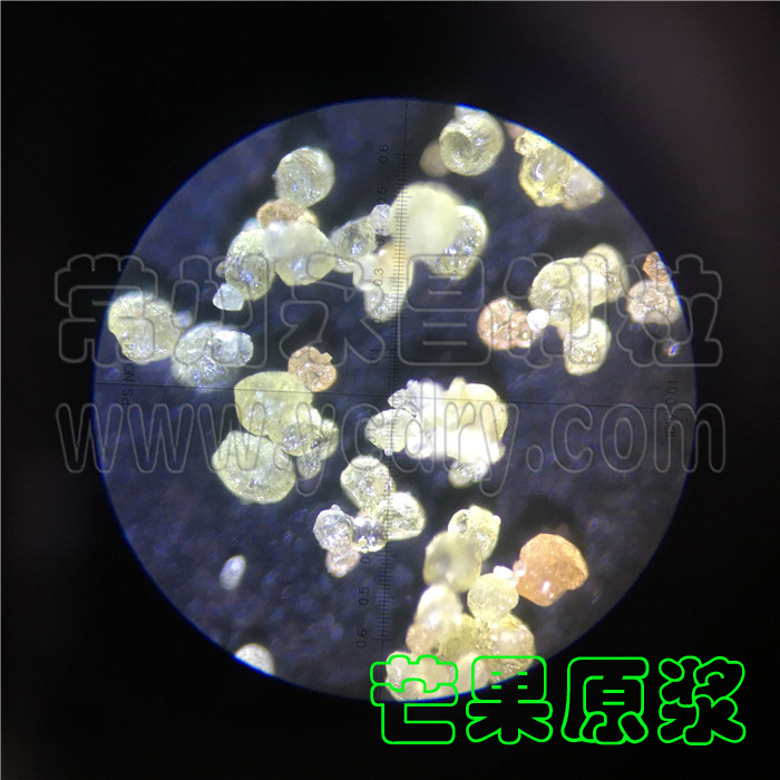 芒果汁喷雾干燥机-芒果速溶粉造粒塔