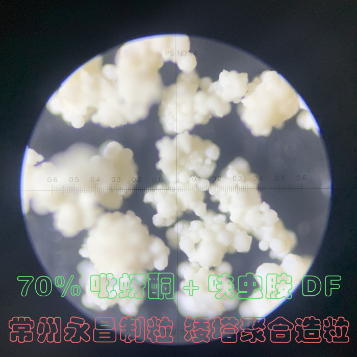 246天天免费资料网