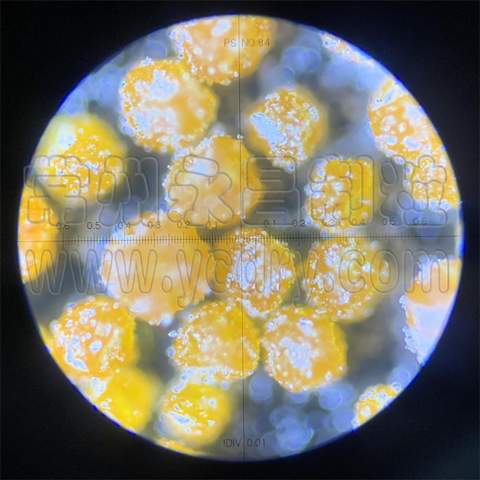 微胶囊造粒技术-微囊颗粒造粒机-永昌制粒