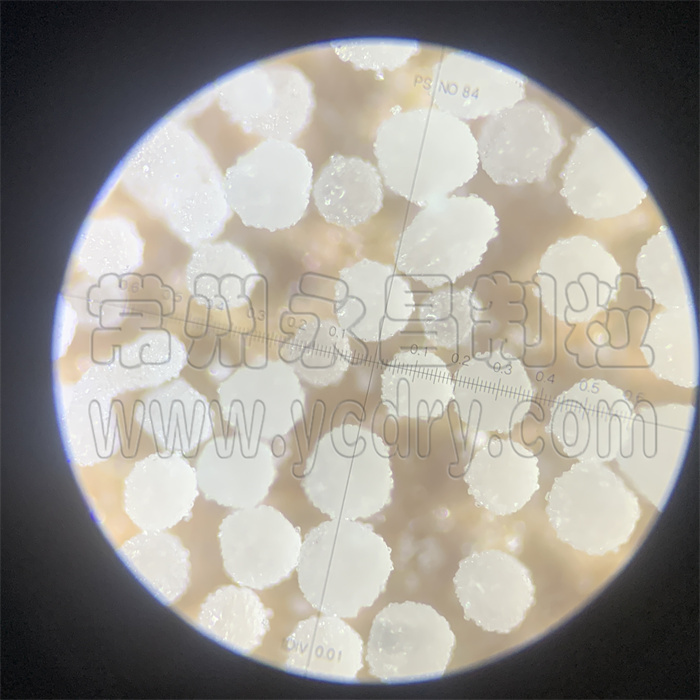 维生素微囊造粒喷雾干燥机-永昌制粒