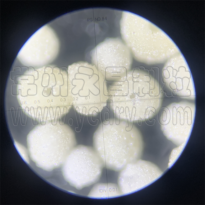 维生素微囊造粒喷雾干燥机-永昌制粒