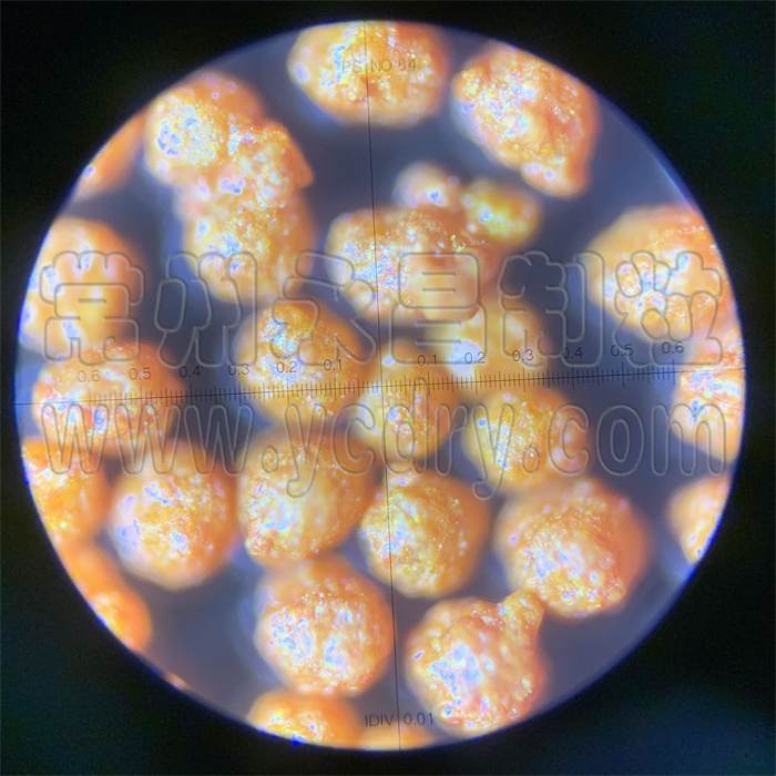 WNPG微囊喷雾制粒机